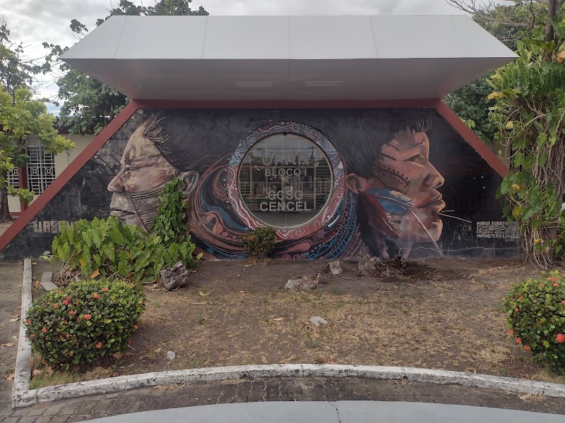 UNIVERSIDADE FEDERAL DE RORAIMA
