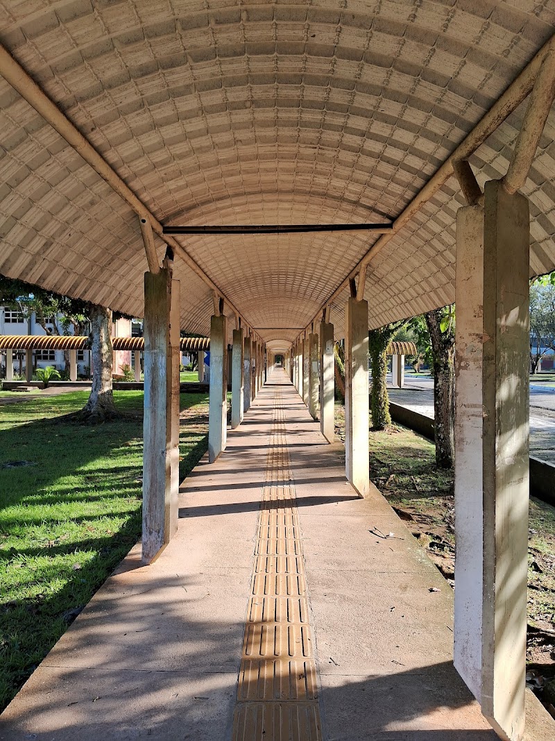 UNIVERSIDADE FEDERAL DO PARÁ
