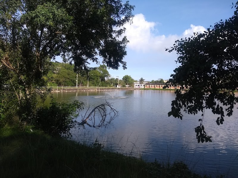 UNIVERSIDADE FEDERAL DO ESPÍRITO SANTO