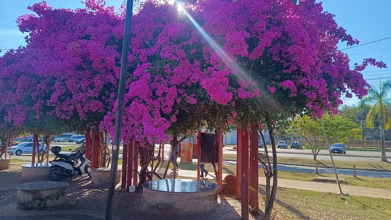 UNIVERSIDADE FEDERAL DE GOIÁS