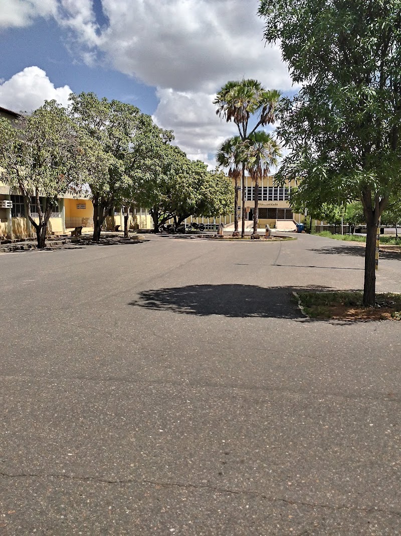 UNIVERSIDADE FEDERAL RURAL DO SEMI-ÁRIDO