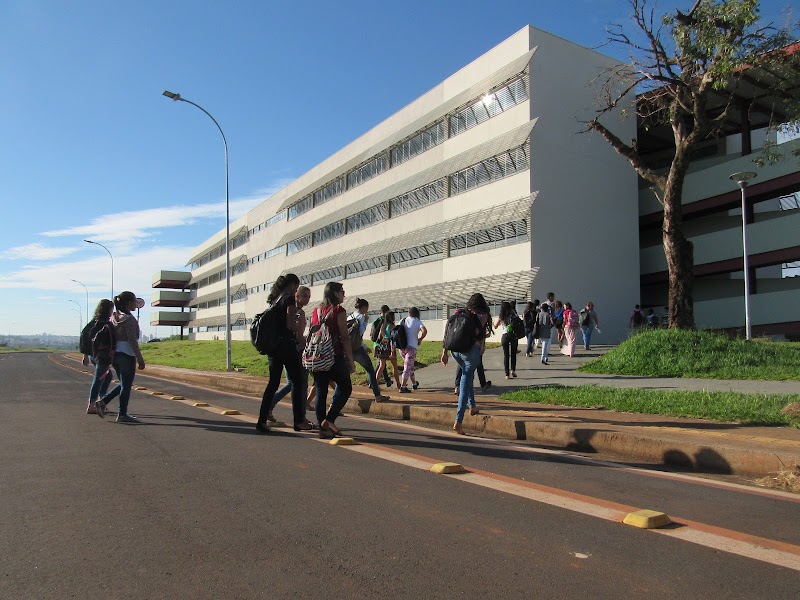 UNIVERSIDADE FEDERAL DO TRIÂNGULO MINEIRO