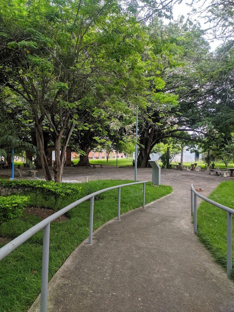 UNIVERSIDADE ESTADUAL DE FEIRA DE SANTANA