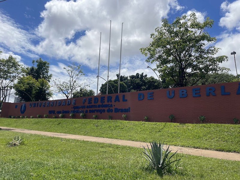 UNIVERSIDADE FEDERAL DE UBERLÂNDIA