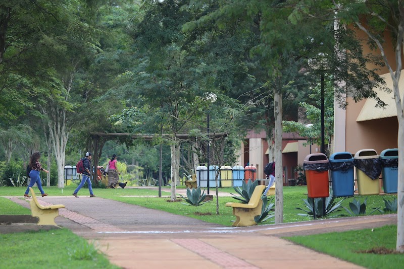 FUNDAÇÃO UNIVERSIDADE FEDERAL DA GRANDE DOURADOS