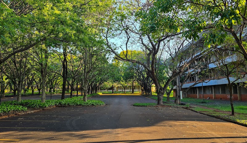 UNIVERSIDADE ESTADUAL DE MARINGÁ