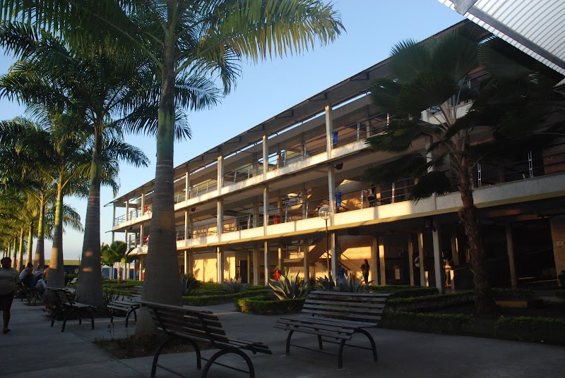 Centro Universitário de Excelência (UNEX)