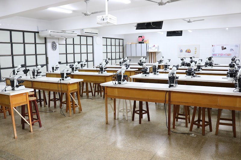UNIVERSIDADE BRASIL