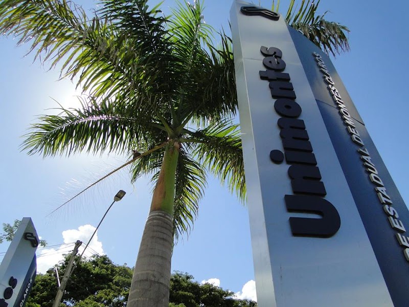 UNIVERSIDADE ESTADUAL DE MONTES CLAROS